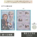 ディズニー アナと雪の女王 リバーシブルまな板 スタンド付 S6シリーズ │ 子供用まな板 抗菌仕様 日本製 お手伝い用 アウトドア 滑り止め付き 親子クッキンググッズ