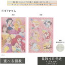ディズニー プリンセス スタンド付リバーシブルまな板 S6シリーズ │ 子供用まな板 抗菌仕様 日本製 お手伝い用 アウトドア 滑り止め付き 親子クッキンググッズ