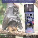 イカリ スーパーコウモリジェット 420ml ×12個セット │ イカリ消毒 コウモリ こうもり 蝙蝠 コウモリ忌避スプレー コウモリ駆除 対策 駆除 撃退 害獣対策 ハッカ油 天然成分 速効性 効果長持ち 屋根裏 軒下 戸袋 害虫駆除 追い出し 忌避スプレー 強力噴射 ハッカスプレー