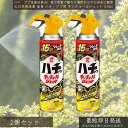 大日本除虫菊 金鳥 ハチ・アブ用 キンチョールジェット 510ml ×2個セット │ KINCHO キンチョウ 殺虫剤 ハチ退治 アブ退治 スズメバチ アシナガバチ 蚊 速効性 遠くまで届く 巣駆除 屋外用 園芸 キャンプ アウトドア 庭手入れ 虫除け スプレー キンチョール