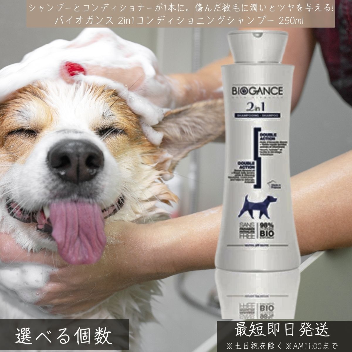バイオガンス 2in1コンディショニングシャンプー 250ml │ 犬 猫 ペット用 シャンプー コンディショナー 一体型 静電気防止 毛艶 もつれ防止 オールコート対応 子犬 シニア犬 時短ケア 【ギフト対応】 【ソーシャルギフト対応】 プレゼント