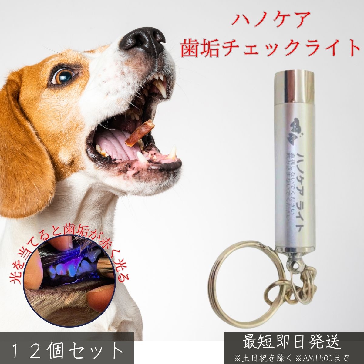 ハノケア チェックライト ×12個セット │ 犬 猫 ペット用 デンタルケア 歯垢チェック 歯磨き残し 防止 口臭 歯周病 対策 お口ケア用品 LEDライト 可視化 軽量 コンパクト ペット用品 【ギフト対応】 【ソーシャルギフト対応】 プレゼント