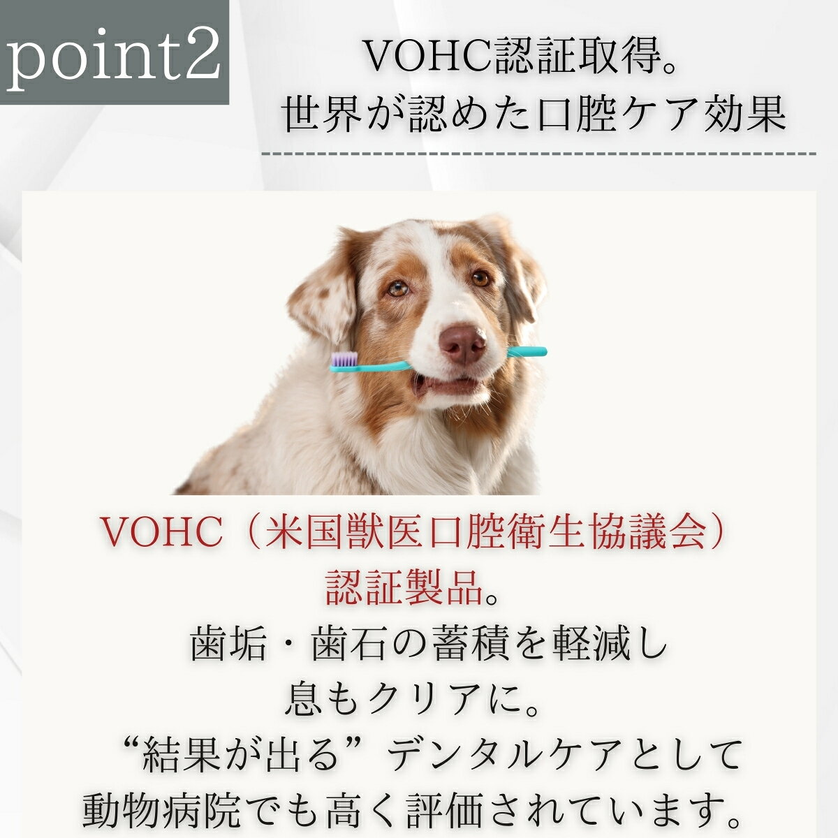 プロデン デンタルケアパウダー 犬用 40g │ VOHC認証 獣医師推奨 歯石 歯垢 口臭ケア 天然海藻 無添加 グレインフリー デンタルパウダー サプリ 歯磨き代わり デンタルサプリ 【ギフト対応】 【ソーシャルギフト対応】 プレゼント naturehill-hill-10011068 ネイチャーの丘 サンプル画像3