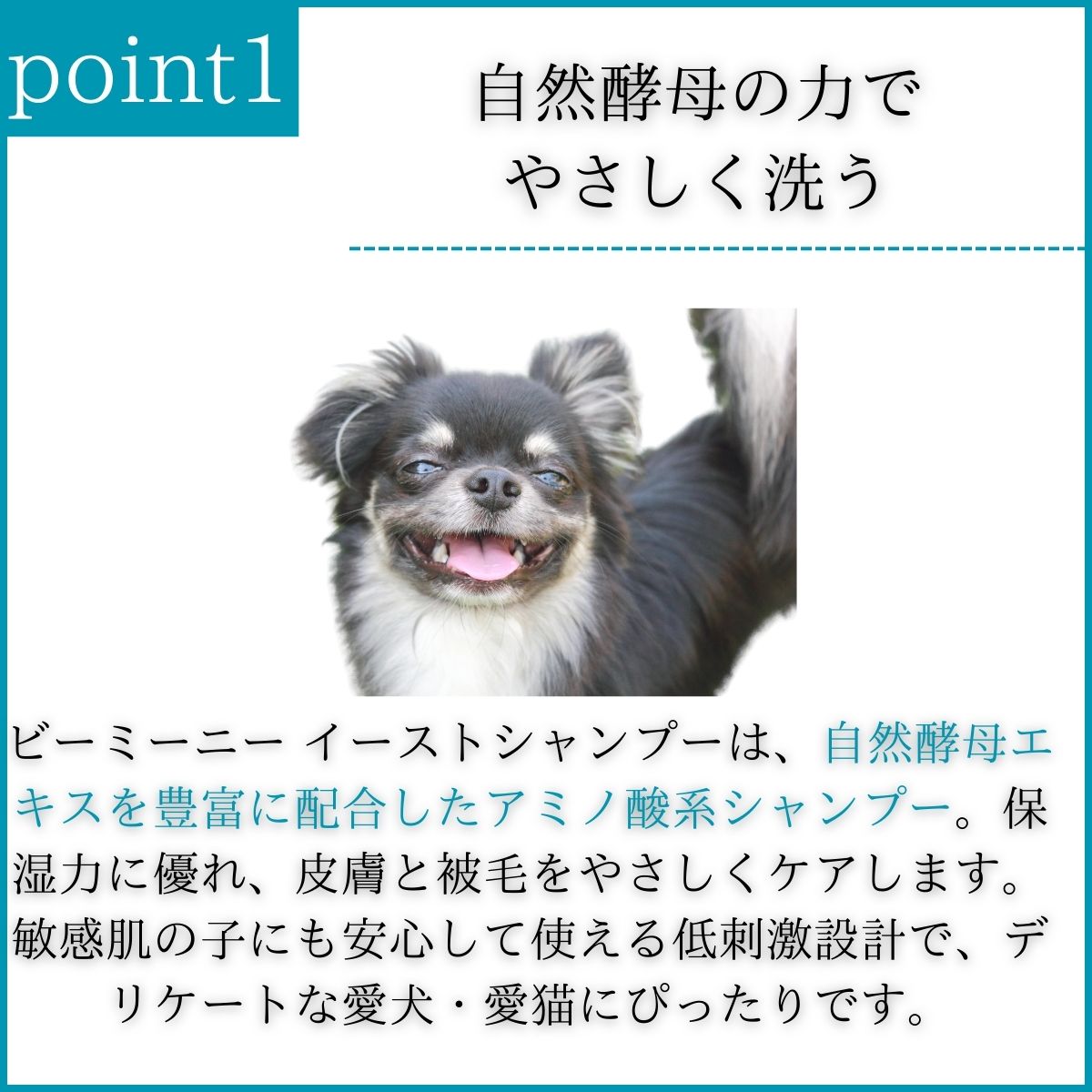ビーミーニー イーストシャンプー 300ml ×3個セット │ 犬 猫用 アミノ酸シャンプー...