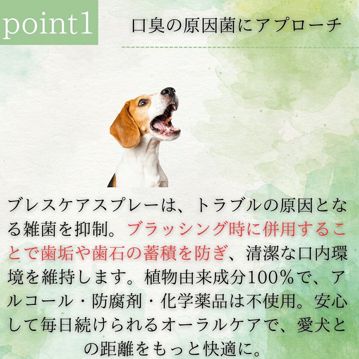 ビーミーニー ブレスケアスプレー 50ml ×3個セット│ 犬用 デンタルケア 口臭予防 ...