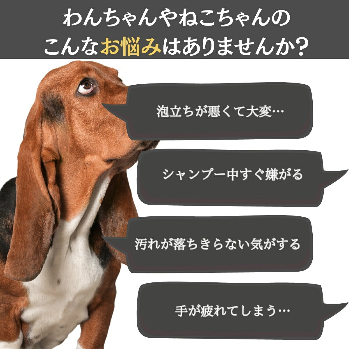 シセルリノ フィットツール バブシャン ペット用 │ シャンプーブラシ 犬 猫 日本製...