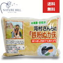中村食品 河村さんちの鉄粉ぬか床 1kg 糠漬け 漬物【ぬかどこ ぬかづけ】おつけもの 河村通夫【かわむらみちお】米ぬか 無添加【国産米糠 てっぷん糠どこ