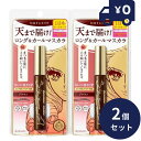 伊勢半 ヒロインメイク ロングUPマスカラ スーパーWP 02 ブラウン 6g 2個セット (夜まで落とさない 超!耐久マスカラ)高発色 長時間キープ KISS...