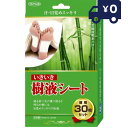 トプラン 天然樹液吸水パワー、足裏シートの定番! NEWいきいき樹液シート 徳用30枚入 TKBR-009