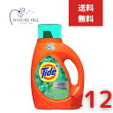 タイド プラス ファブリーズ ボタニカルレイン 1360ml 12個セット 【タイド(Tide)】　タイド 洗剤 洗濯洗剤 全自動洗濯機 ドラム式洗濯機 he リキッド 液体洗剤 中性 濃縮