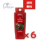 オールドスパイス ボディウォッシュ WC ベアグローブ 6個セット 16oz 473ml 【オールドスパイス】