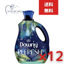 ダウニーインフュージョン REFRESH バーチウォーター＆ボタニカル 2400ml 12個セット 大容量 アメリカ Downy