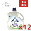 ダウニーネイチャーブレンド ハニーラベンダー 3290ml 12個セット 0030772100417 ダウニー 柔軟剤 ココナッツオイル 大音量
