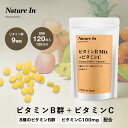 【高配合】ビタミンB群 8種+ビタミンC (4ヶ月分×120粒入) 大容量 ビタミンB1 B2 B3(ナイアシン) B5(パントテン酸) B6 B7(ビオチン) B9(葉酸) B12 カプセル サプリメン Nature In 国産 国内製造