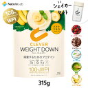 【シェイカーセット】クレバー ウエイトダウン WPI ホエイプロテイン 315g（約7～21回分）シェイカーセット チョコレート ミックスベリー ヨーグルト 抹茶ラテ バナナミルク味 プロテイン ダイエット 美容 女性 ビタミン 置き換え 乳酸菌 高タンパク 低糖質