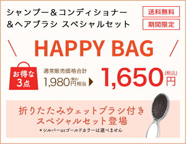 【HAPPY BAG】ダイアン ビートゥルー シャンプー & トリートメント 400ml×2 & ウェットブラシ 3点セット | 無添加 オーガニック ノンシリコン オイル 天然由来 保湿 ダメージケア くせ毛 本体 ボトル うねり ヴィーガン ビーガン 福袋 レディース