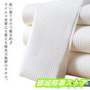 使い捨てタオル ペーパータオル 30*65cm 100枚入 大判 不織布 使い捨てバスタオル ドライタオル ボディタオル 体拭き からだふき 介護 清