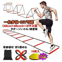 トレーニング ラダー 4m ミニ ハードル 練習用 野球 陸上 ラグビー アジリティー サッカー フットサル 練習器具 部活 陸上競技場 バレーボール テニス(4)