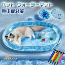 猫用 感覚ウォーターマット ペット 水プレイマット ペットベッド マット ペット ウォーターマット 猫 水入り ひんやり マット 水感覚マット ペットマット 水...