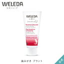 ヴェレダ 公式 正規品 歯みがき プラント75mL WELEDA オーガニック 歯磨き粉 歯磨き ハミガキ はみがき 歯石 天然カルシウム スペアミント アルミチューブ