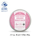 公式 国内正規品 ドクターブロナー オーガニック バーム C...