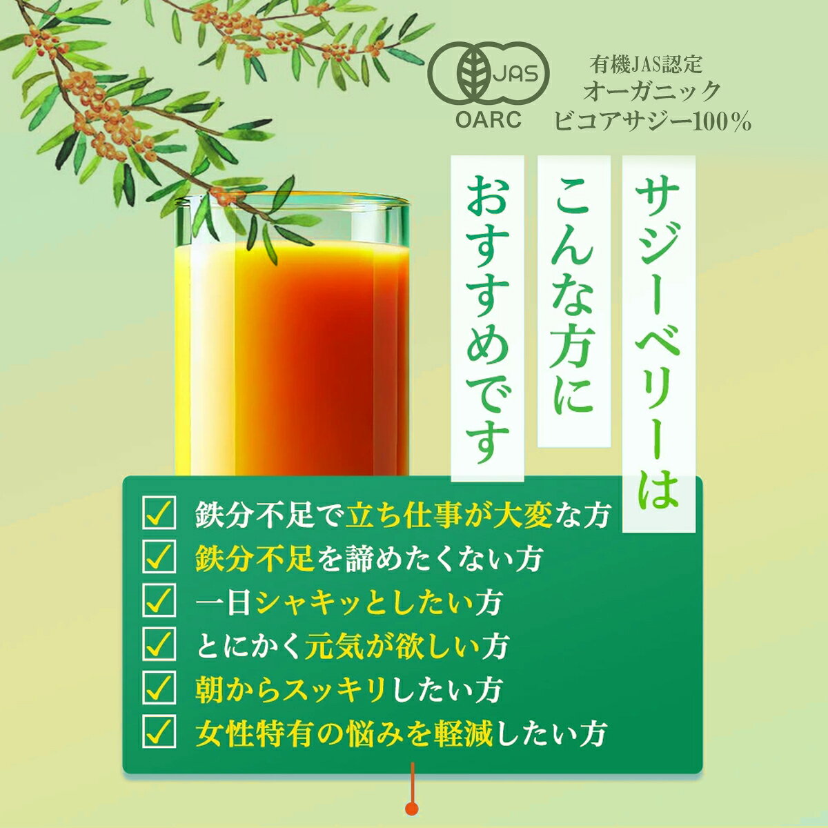有機サジージュース サジーベリー バンカンサンサジー 300ml 【瓶タイプ】健康食品...