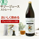 【今だけお得アレンジスティック付】サジージュース キュリラ オーガニック ストレート900ml + サジーがおいしくなる魔法のアレンジスティック1本付き Curilla 鉄分補給 鉄分 鉄分ドリンク ビコアサジー サジーベリー