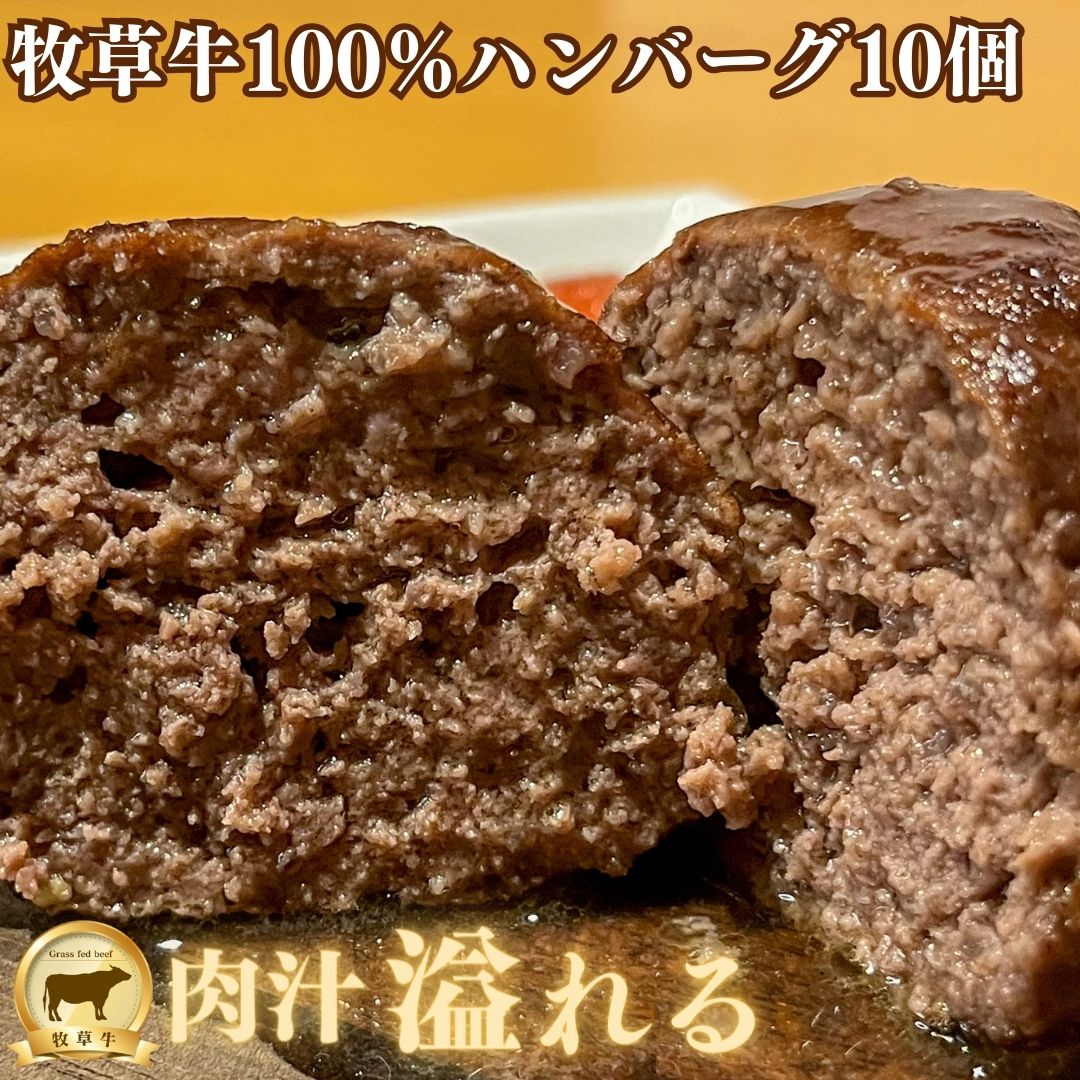 ハンバーグステーキ100g（牧草牛100％）10個　無添加（つなぎパン粉・片栗粉・野菜　不使用）グラスフェッドビーフ 赤身肉ミンチ 無添加 ハンバーグ 牛肉ハンバーグ 化学調味料不使用 赤身肉ハンバーグ 肉ダイエット