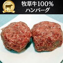 ハンバーグステーキ100g(牧草牛100%)10個 無添加(つなぎパン粉・片栗粉・野菜 不使用)グラスフェッドビーフ 赤身肉ミンチ 無添加 ハンバーグ 牛肉ハンバーグ 化学調味料不使用 赤身肉ハンバーグ 肉ダイエット