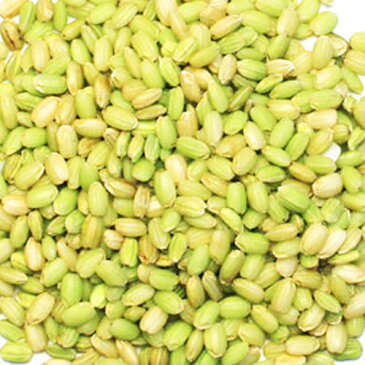 無農薬 熊本産 緑米 200g 1袋メール便での発送です!