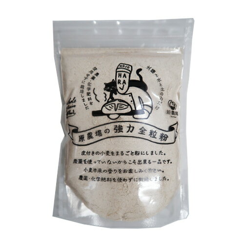 無農薬　化学肥料不使用　熊本県産全粒粉(強力粉) 500g　1袋メール便発送♪