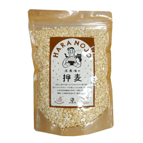 35年　自然栽培　無農薬　化学肥料不使用　熊本県産　九州産押麦　はだか麦　400g　1袋