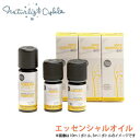 オーガニック精油 クラリセージ 5ml【エッセンシャルオイル・アロマ・ナチュラル・自然・天然・エコサート・農薬不使用・低温・上質・ネリ—グロジャン・フランス・あろま・不眠・リラックス・ホルモンバランス・ニキビ】ヴィアローム(Vie arome)