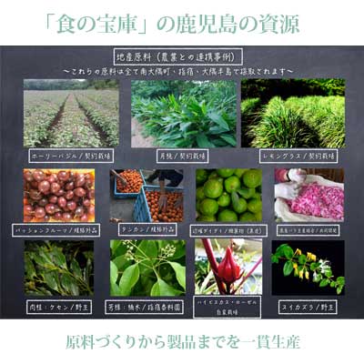 ボタニカノン（BOTANICANON）クレンジングクリーム(メイク落とし) 150ml【ボタニカルファクトリー・鹿児島・国産・オーガニック化粧品】 3