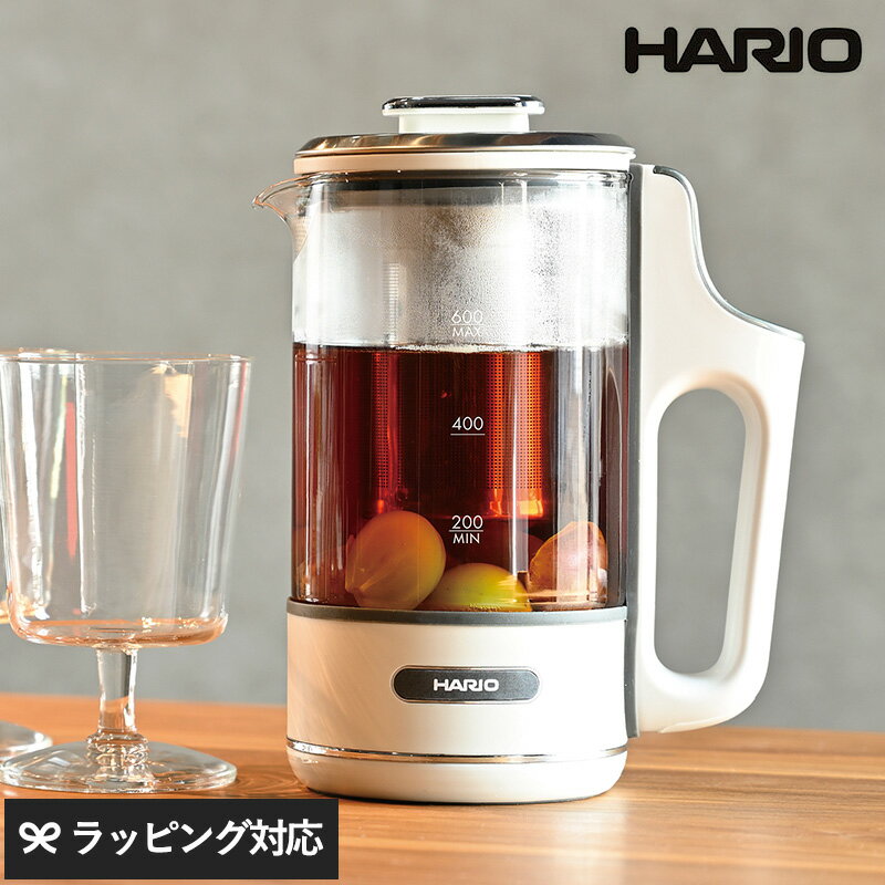 HARIO ϥꥪ Craft Tea Maker å ƥݥå ƥ᡼ ŵ 饹  ɥ饤ե롼 ...