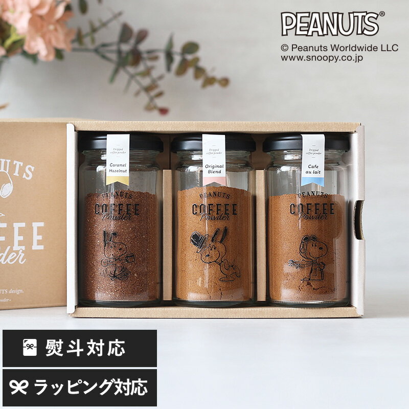 【紙袋あり】 ギフト プレゼント INIC Coffee イニックコーヒー PEANUTS coffee Powder ギフトセット ...