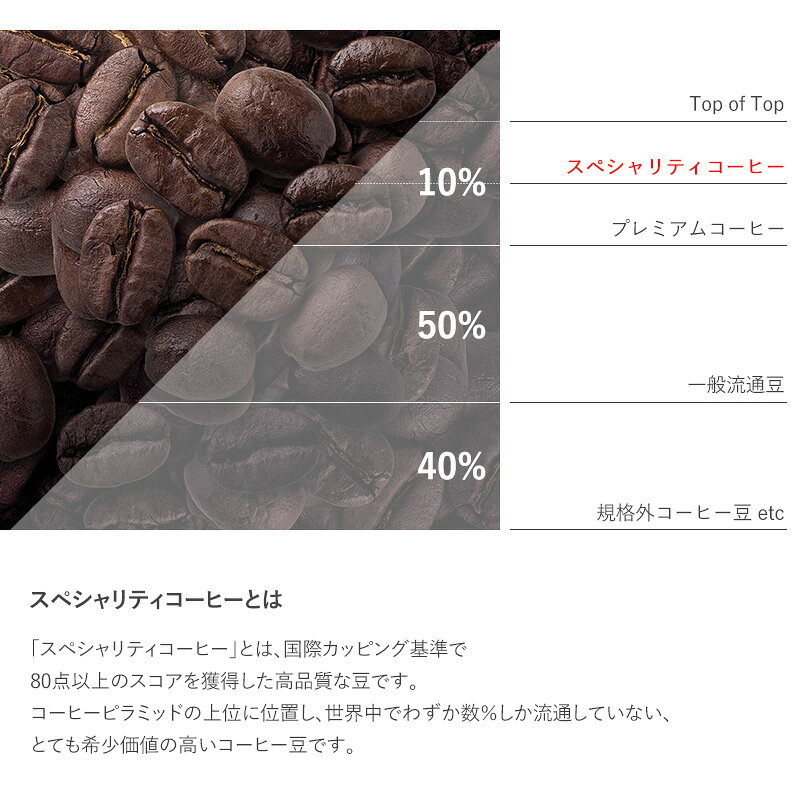 熨斗対応 ギフト OCEAN ＆ TERRE Speciality Coffee＆バームセットA コーヒーギフ...