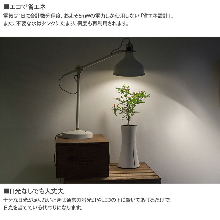 最も信頼できる ボタニアム水耕栽培プランター専用 液体栄養素 Botanium ボタニアム 300ml LED 水耕栽培 観葉植物 花 野菜 ハーブ 家庭菜園 簡単 おしゃれ 北欧 知育 自由研究 エコ 省エネ 日光不要 手間いらず aquilo.it 最も信頼できる ボタニアム水耕栽培プランター専用 液体栄養素 Botanium ボタニアム 300ml LED 水耕栽培 観葉植物 花 野菜 ハーブ 家庭菜園 簡単 おしゃれ 北欧 知育 自由研究 エコ 省エネ 日光不要 手間いらず aquilo.it