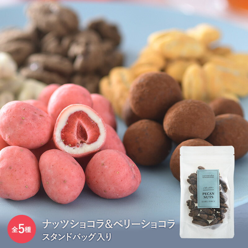 ギフト ナッツショコラ＆ベリーショコラ スタンドバッグ入り チョコレート ギフト チョコ ぺカンナッツ ストロベリー マカダミアナッツ イチゴチョコ　いちごチョコ　苺 ラズベリー ドライフルーツ スイーツ おやつ お配り プチギフト 【あす楽対応】のサムネイル