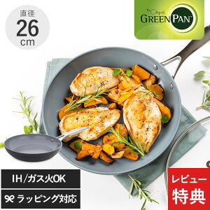 ڥӥ塼ŵ GreenPan ꡼ѥ ˥ ץ ե饤ѥ 26cm ե饤ѥ б Ǥդˤ  IH   ¿ Υ󥹥ƥå å ե ץ쥼