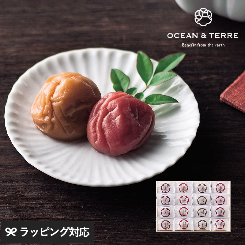 ギフト プレゼント OCEAN ＆ TERRE Premium 紀州南高梅 16粒 木箱入り ギフト プレゼント おしゃれ 甘いもの以外 贈り物 梅干し 親戚 上司 内祝い 引き出物 お礼 お返し お歳暮 お中元