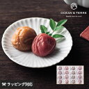 熨斗対応 ギフト OCEAN & TERRE Premium 紀州南高梅 16粒 木箱入り 梅干し 贈り物 おしゃれ 甘いもの以外 親戚 上司 内祝い 引き出物...