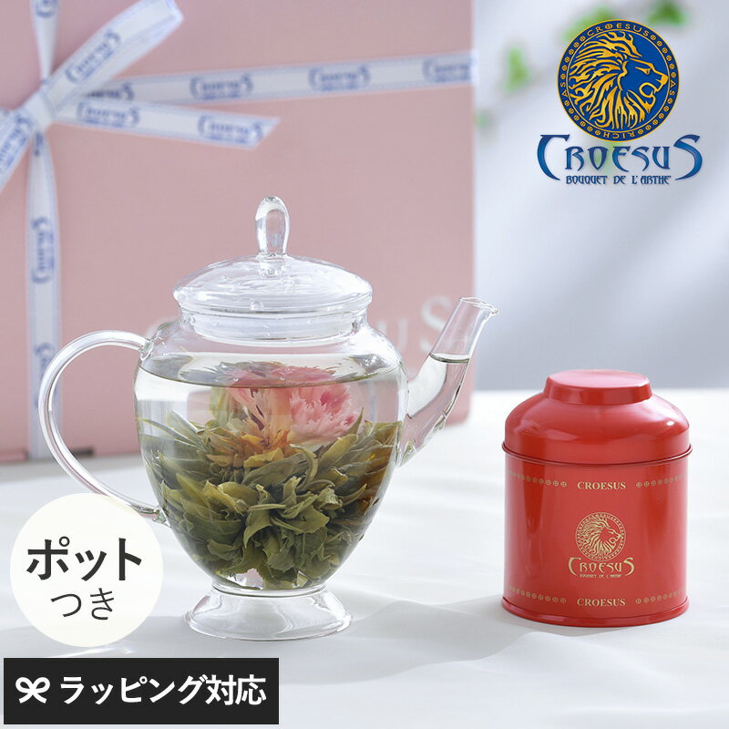 CROESUS クロイソス お花の咲く工芸茶 スカーレット缶＋アリエルポット 母の日 ギフト プレゼント お茶 セット おしゃれ かわいい 中国茶 カーネーション 健康 花以外 30代 40代 50代 【あす楽対応】