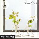 Horn Please ホーン プリーズ BRASS フラワースタンド W/GLASS L フラワースタンド 真鍮 ガラス 試験管 おしゃれ シンプル 北欧 一...