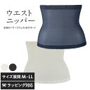TheD ザ ディ ウエストニッパー 補正下着 薄い インナーウェア レディース シェイプ ドレスインナー ひびかない レース仕様 お腹すっきり 腰ケア 引き締...