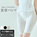 TheD ザ ディ 美容パンツ 補正下着 インナーウェア ラインが出ない シームレス タイトボトム対応 ガードル レディース 下半身ケア ドレスインナー 美尻 ...