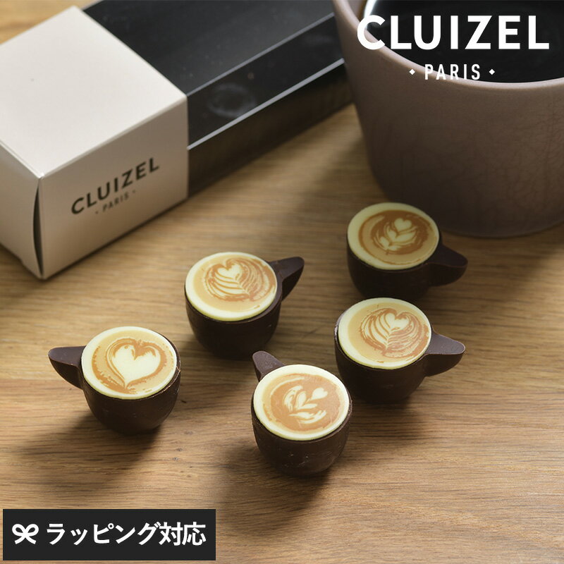【紙袋あり】 CLUIZEL クルイゼル カプチーノ チョコレート おしゃれ かわいい 海外 フランス製 ボンボンショコラ 高級 ギフト プレゼント バレンタイン お菓子 スイーツのサムネイル