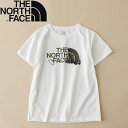 THE NORTH FACE(UEm[XEtFCX) K S/S FIREFLY TEE(LbY V[gX[u t@C[tC eB[) 100cm K[fjAzCg(GW) NTJ32244