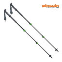 PINGUIN(ピングイン) CARBON FL FOAM(カーボン FL フォーム) 64~135cm グリーン 809145