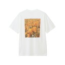 THE NORTH FACE(ザ・ノース・フェイス) ショートスリーブフラッシュドライピクセルプラントコットンティー NT32549 全2サイズ